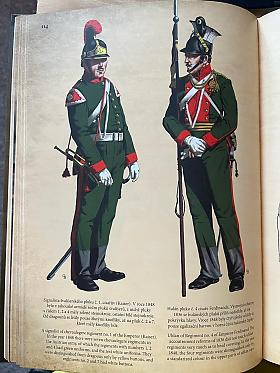 Gustav Bezděkovský – Stejnokroje vojáků sloužících v Habsburské armádě 1618-1918